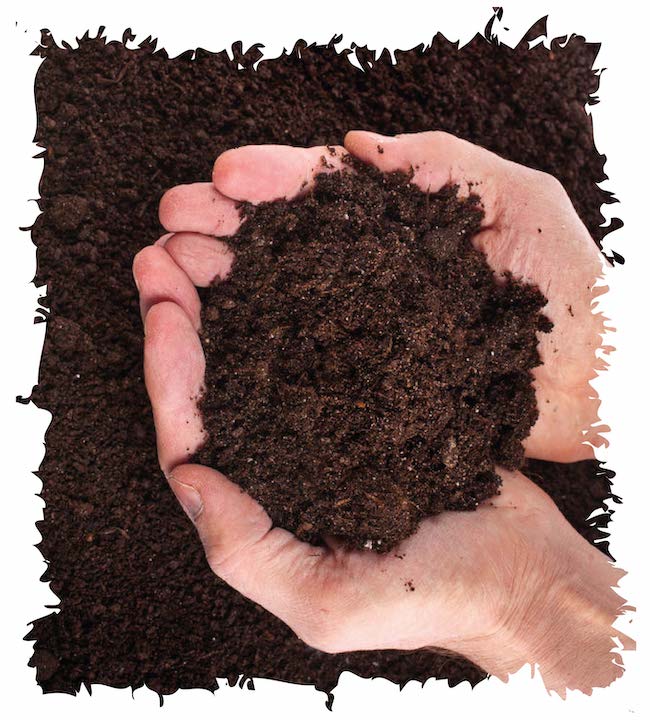 Abbey Turf Nottingham Soil image