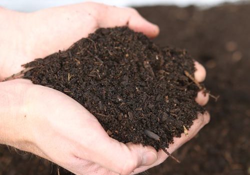 Abbey Lawn Turf Compost Nottingham Leicester Loughborough