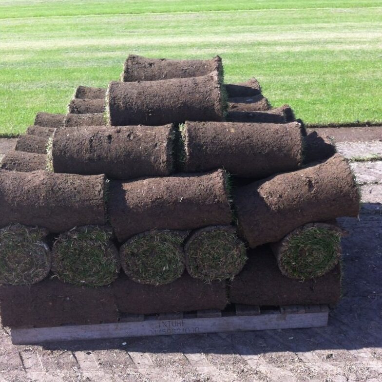 Abbey Lawn Turf Order Turf Nottinghamshire Leicestershire Loughborough